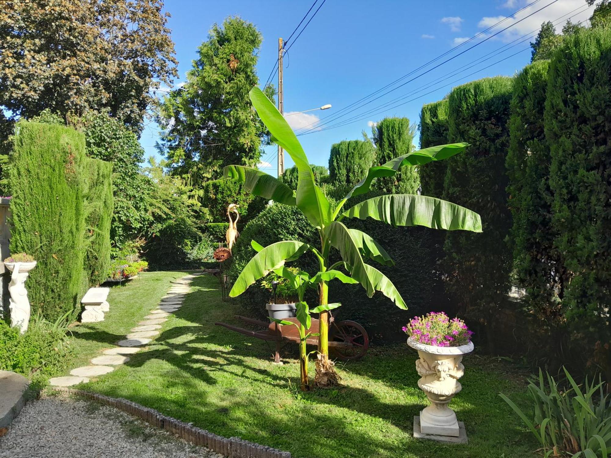 Le Madrigal Bed & Breakfast Mamers Bagian luar foto